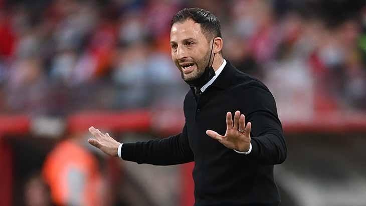 Domenico Tedesco, huấn luyện viên trưởng của đội tuyển Bỉ