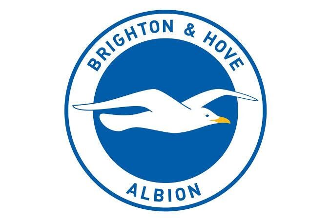 Logo Brighton & Hove Albion với Hải âu