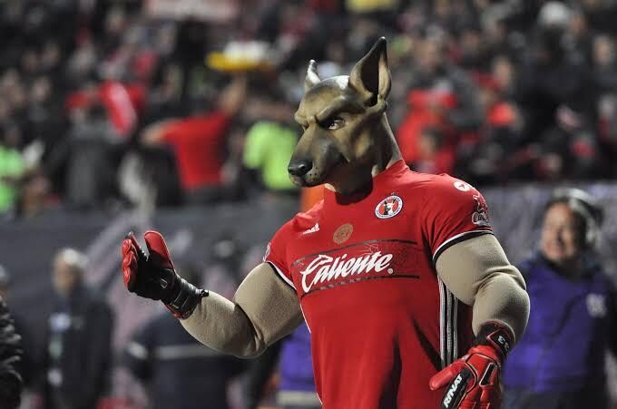 Xolo Mayor, linh vật của Club Tijuana